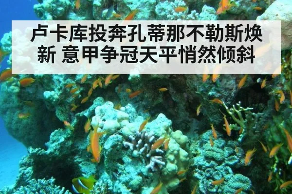 卢卡库投奔孔蒂那不勒斯焕新 意甲争冠天平悄然倾斜